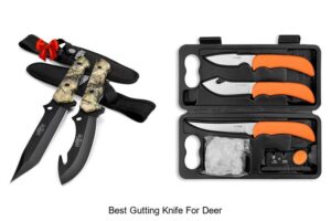 Top 12 Best Gutting Knife For Deer You Can’t Miss