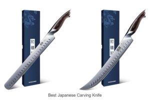 Top 12 Best Japanese Carving Knife You Can’t Miss!