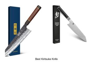 Top 12 Best Kiritsuke Knife You Need to Own Today