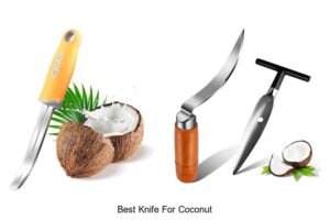 Top 12 Best Knife For Coconut You Can’t Live Without!