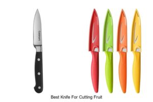 Top 12 Best Knife For Cutting Fruit You Must Own Today