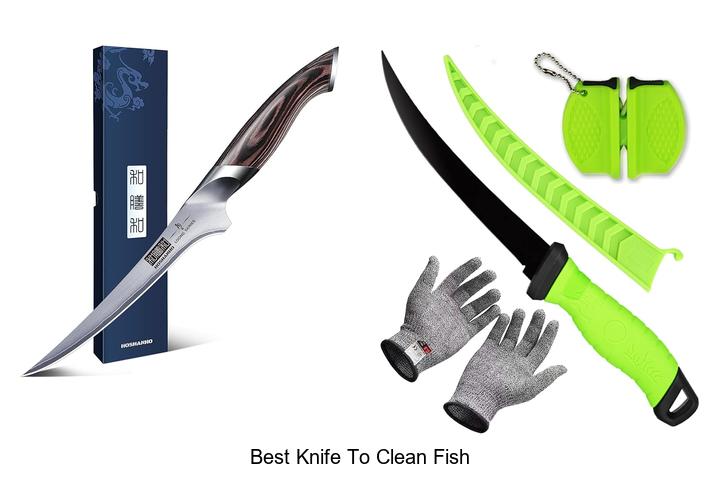 Top 12 Best Knife To Clean Fish You Can’t Miss Today