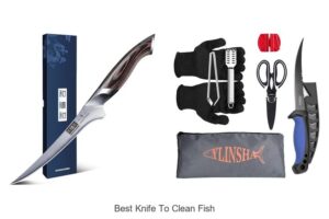 Top 12 Best Knife to Clean Fish You Can’t Miss Today
