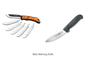 Top 12 Best Skinning Knife You Can’t Miss Today!