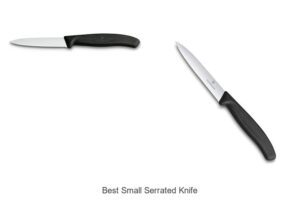 Top 12 Best Small Serrated Knife You Need Now!