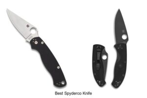 Top 12 Best Spyderco Knife You Can’t Miss Today