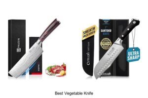 Top 12 Best Vegetable Knife That Will Change Your Cooking!